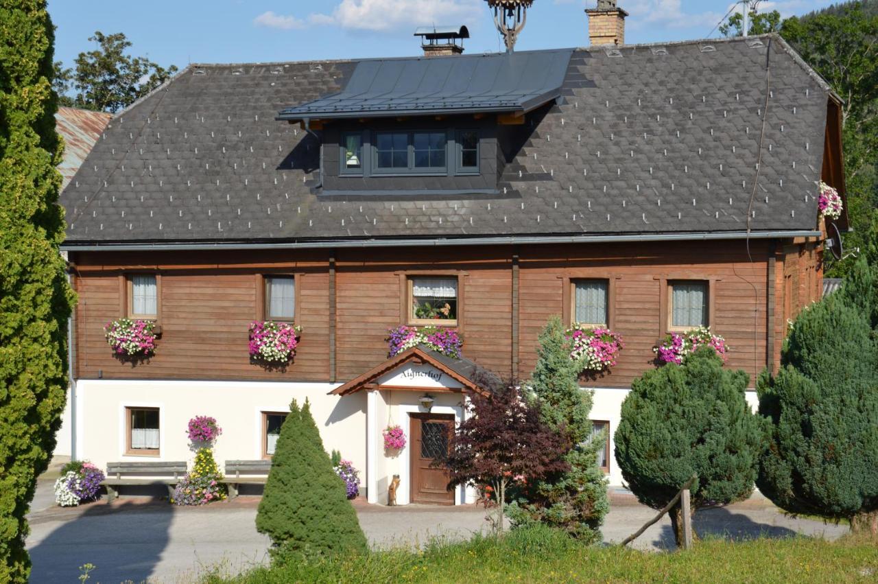 Aignerhof Villa Haus im Ennstal Ngoại thất bức ảnh