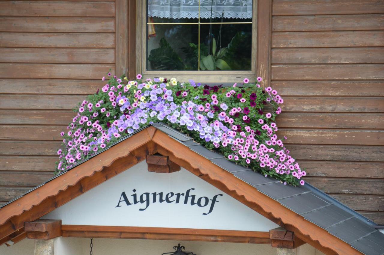 Aignerhof Villa Haus im Ennstal Ngoại thất bức ảnh